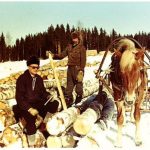 Urho Härkönen - Maivalan metsätyömies